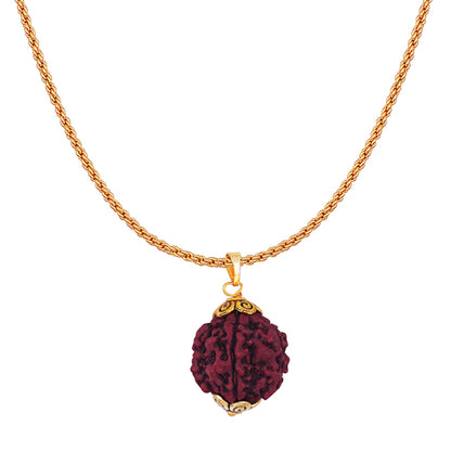 Gold Plated Panch Mukhi Rudraksha Pendant With Chain For Men And Boys